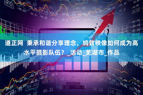 道正网  秉承和谐分享理念，鸠兹映像如何成为高水平摄影队伍？_活动_芜湖市_作品