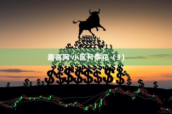 嘉喜网 小区月季花（3）